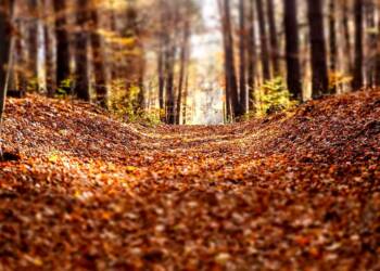 EAttachments90240157a68cedf12be417354f8494db522cac6 xl