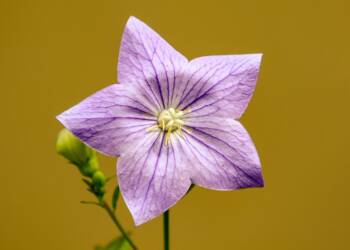 EAttachments902544283993f4530e51747c9df4253da2cdbf4 xl