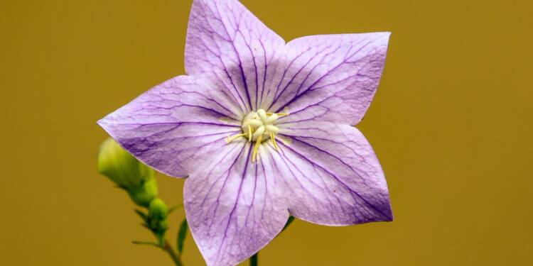 EAttachments902544283993f4530e51747c9df4253da2cdbf4 xl