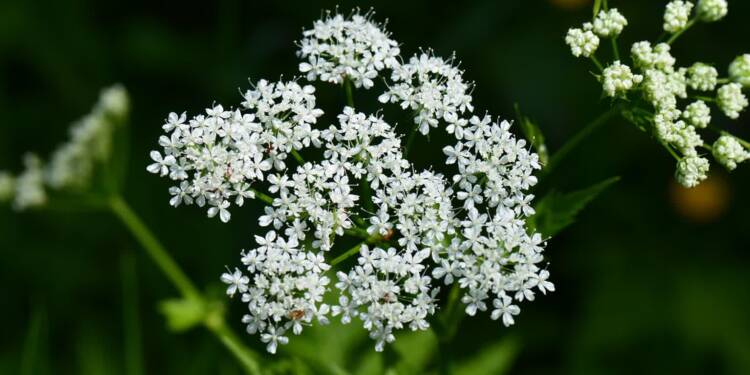 EAttachments90274048e1c930f60f3f7c79dd1259538b79cc8 xl