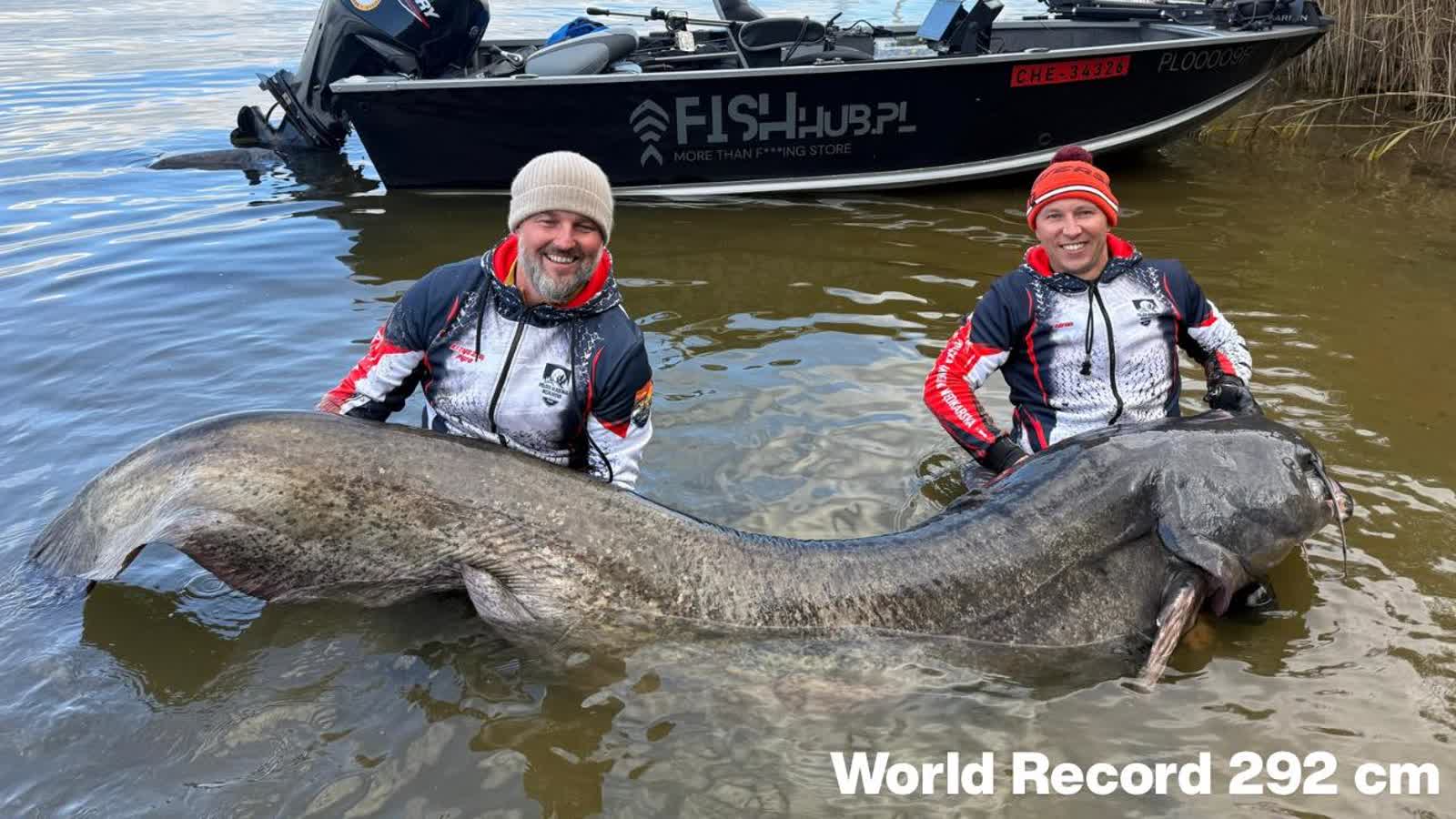 Rekordowej wielkości sum złowiony przez lubelskich wędkarzy 2 565123159_828054496832276_7110690045734559707_n.jpg