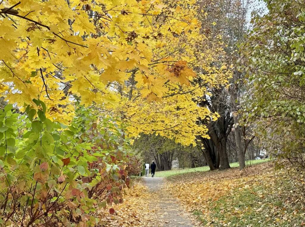 24.10.2025 Hobbici. Z Lubelskiego 1 EAttachments90314053d38eec041f625bc11538e1c3b1a1b14 xl