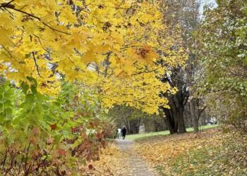 24.10.2025 Hobbici. Z Lubelskiego 9 EAttachments90314053d38eec041f625bc11538e1c3b1a1b14 xl