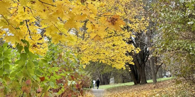 EAttachments90314053d38eec041f625bc11538e1c3b1a1b14 xl