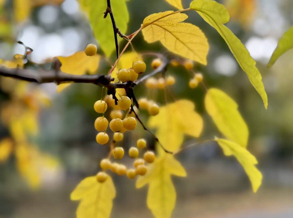 EAttachments9031405dd0763b383236f3a666c38b1810b51fa xl