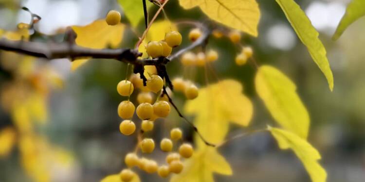 EAttachments9031405dd0763b383236f3a666c38b1810b51fa xl