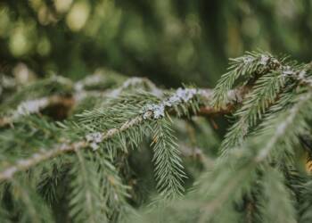 EAttachments903264402007a76ae2798d08be54aa12acaaf37 xl