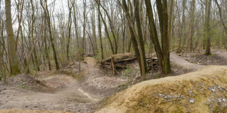 EAttachments9032853ada3dccba500fb3d4c085858863693c2 xl