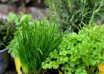 EAttachments903412309f51ca4f4cd5504601ebfccaab8b58f xl