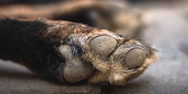 EAttachments9034131dc585347bc56773864090f8229b0591d xl