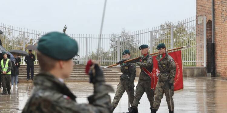 EAttachments9035238cec786a72ae1886e4f7f7b02c540929d xl 1