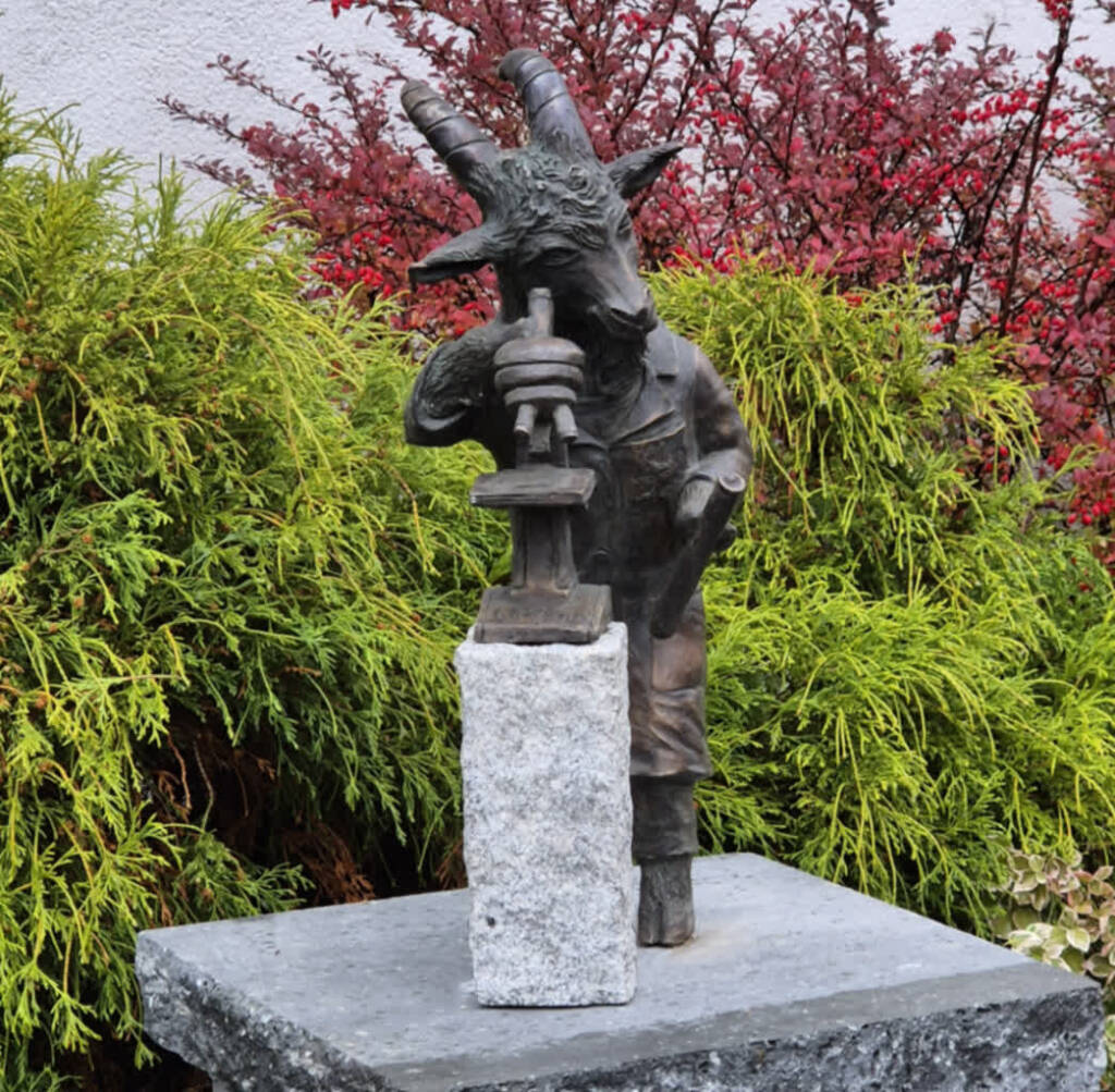 Koziołek Tomek. Nowa figura przed Uniwersytetem Medycznym w Lublinie 2 EAttachments9035582166243340b22f33b8197a508501c55fe xl