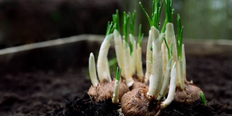 EAttachments9035994124520ab65cd488c49de35d141ca5afc xl