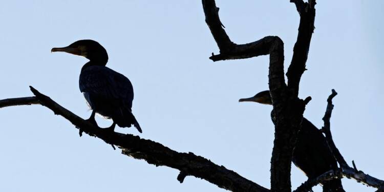 EAttachments9036283c54e8a70f8e2cce5568a1b1c29a1706b xl