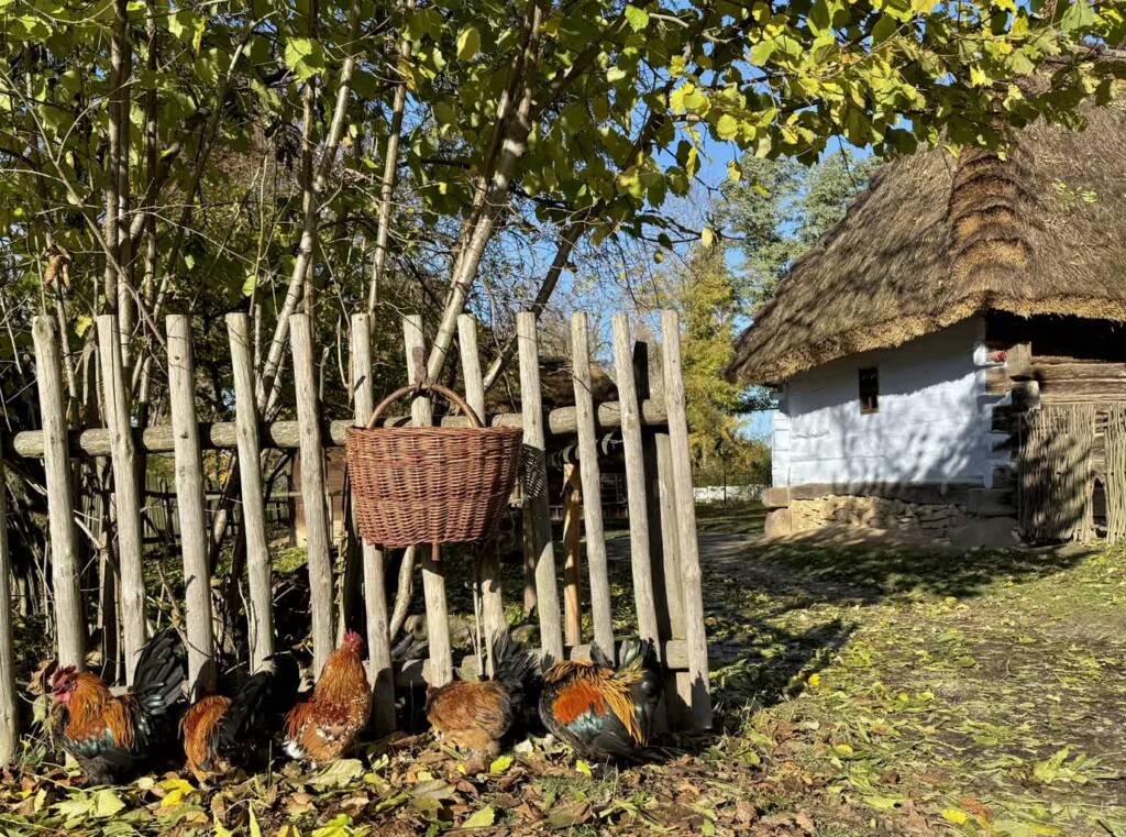 EAttachments9036852be21e4cdb22a6c41e1781a9662f3d43d xl