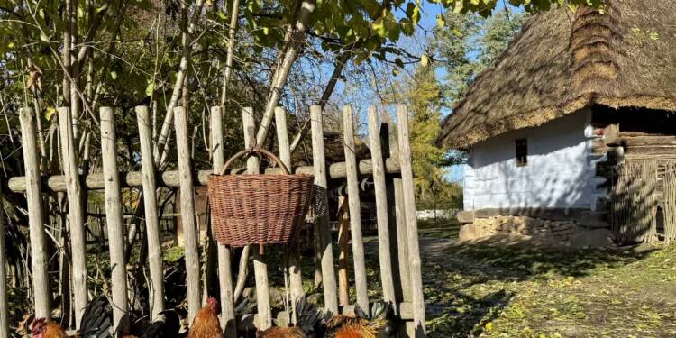 EAttachments9036852be21e4cdb22a6c41e1781a9662f3d43d xl