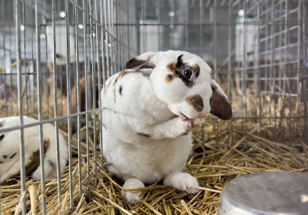 EAttachments9037050c46af160a8799c7cd865e54658bd883a xl