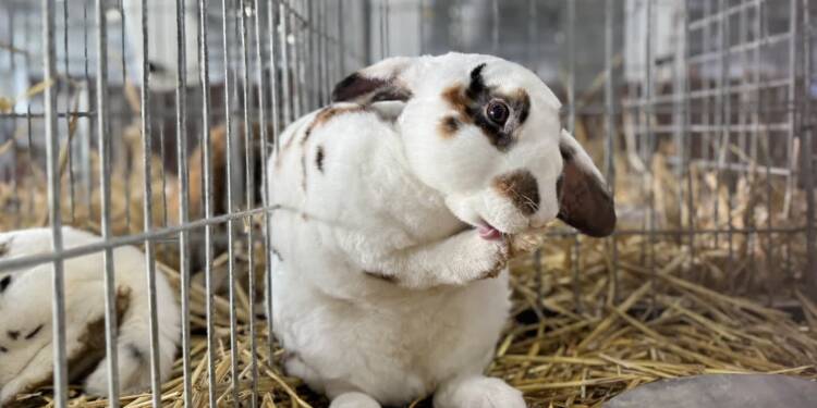 EAttachments9037050c46af160a8799c7cd865e54658bd883a xl