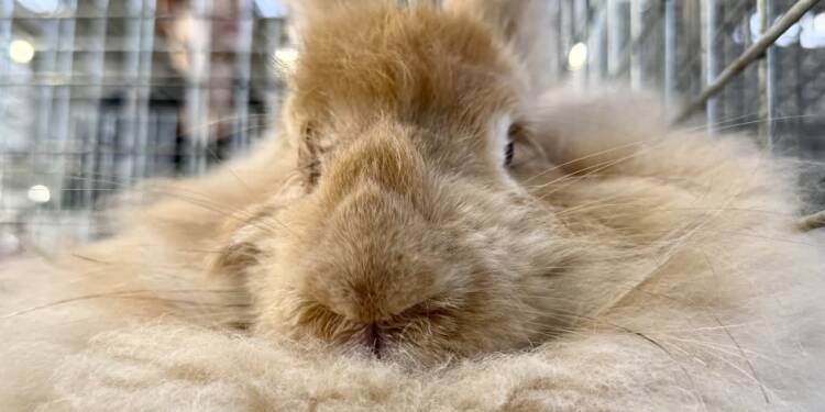 Kilkaset zwierząt na lubelskim Zooparku 1 EAttachments903730872afc3d6b8491f6e400d0bf71651ef0e xl