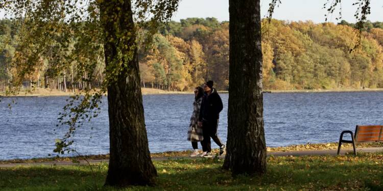 EAttachments903824824cdae671dba48ea0185f79638333e1f xl