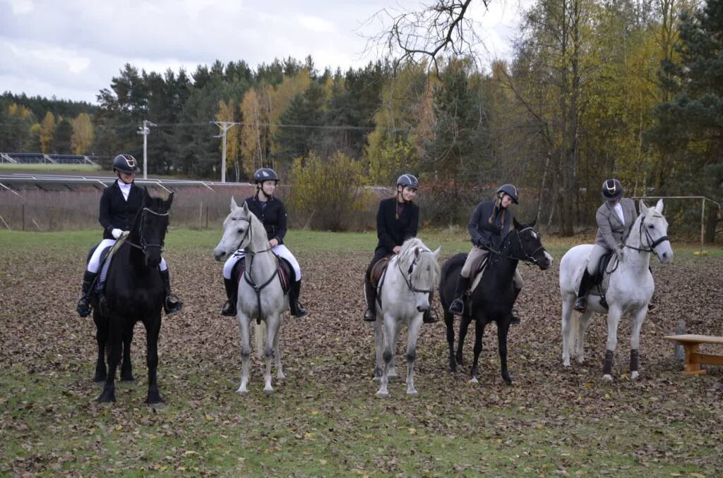 EAttachments9038539585d79207a0694462863528b3f5e5d96 xl