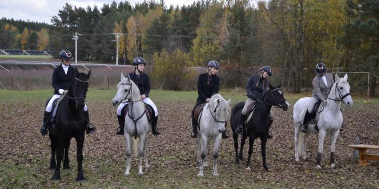 Lis w ucieczce, jeźdźcy w pogoni! Hubertus pełen emocji 1 EAttachments9038539585d79207a0694462863528b3f5e5d96 xl