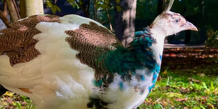 EAttachments90414723d00c3826aa9e825488a319eb28acefe xl