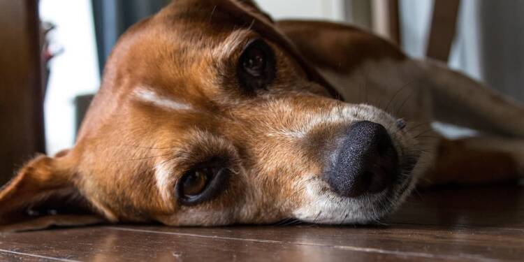 EAttachments90416341d85479b207f4e29b9e7001caf3b43ae xl