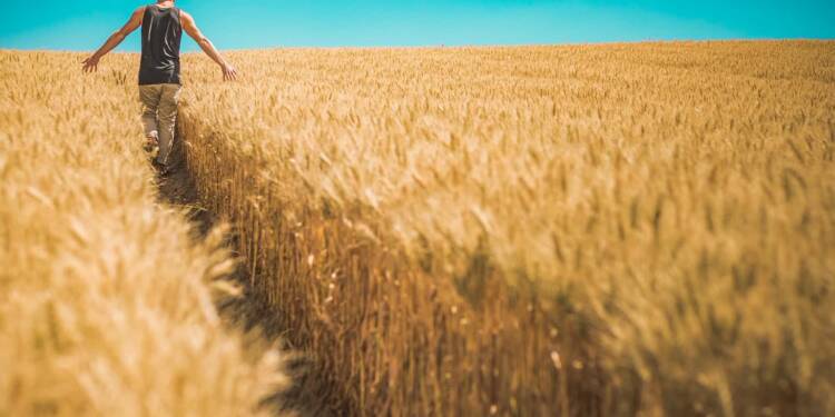 EAttachments9041695a3bc0a88cedc0953eb26052d7b0a3d62 xl