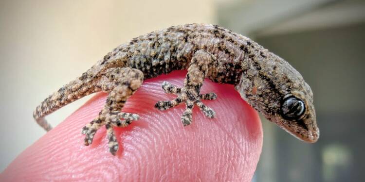 EAttachments9042425ce8f8ad2a9e1957ed65ed0e492f82df9 xl 1