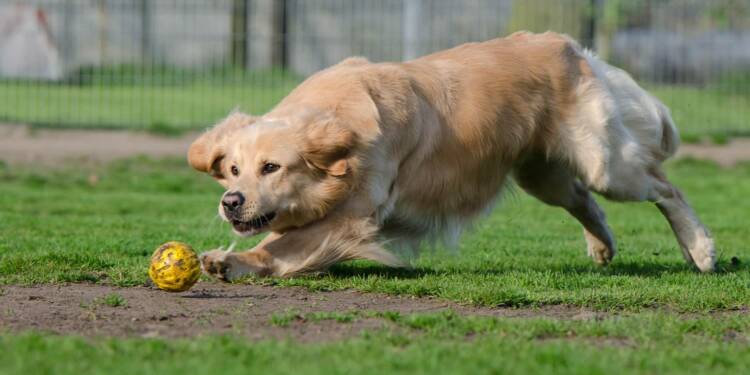 EAttachments90431112e285d85eb10b4a8d0b8e281a7d34eec xl