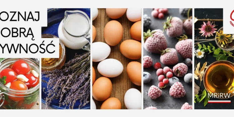 EAttachments9043126ee8ca4979fe0cb9646b141d3dcd3e5af xl