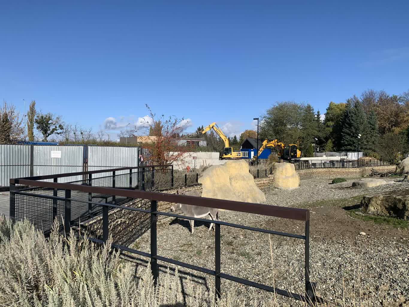 Powstaje pawilon dla pingwinów. Zamieszkają tam goście z Afryki