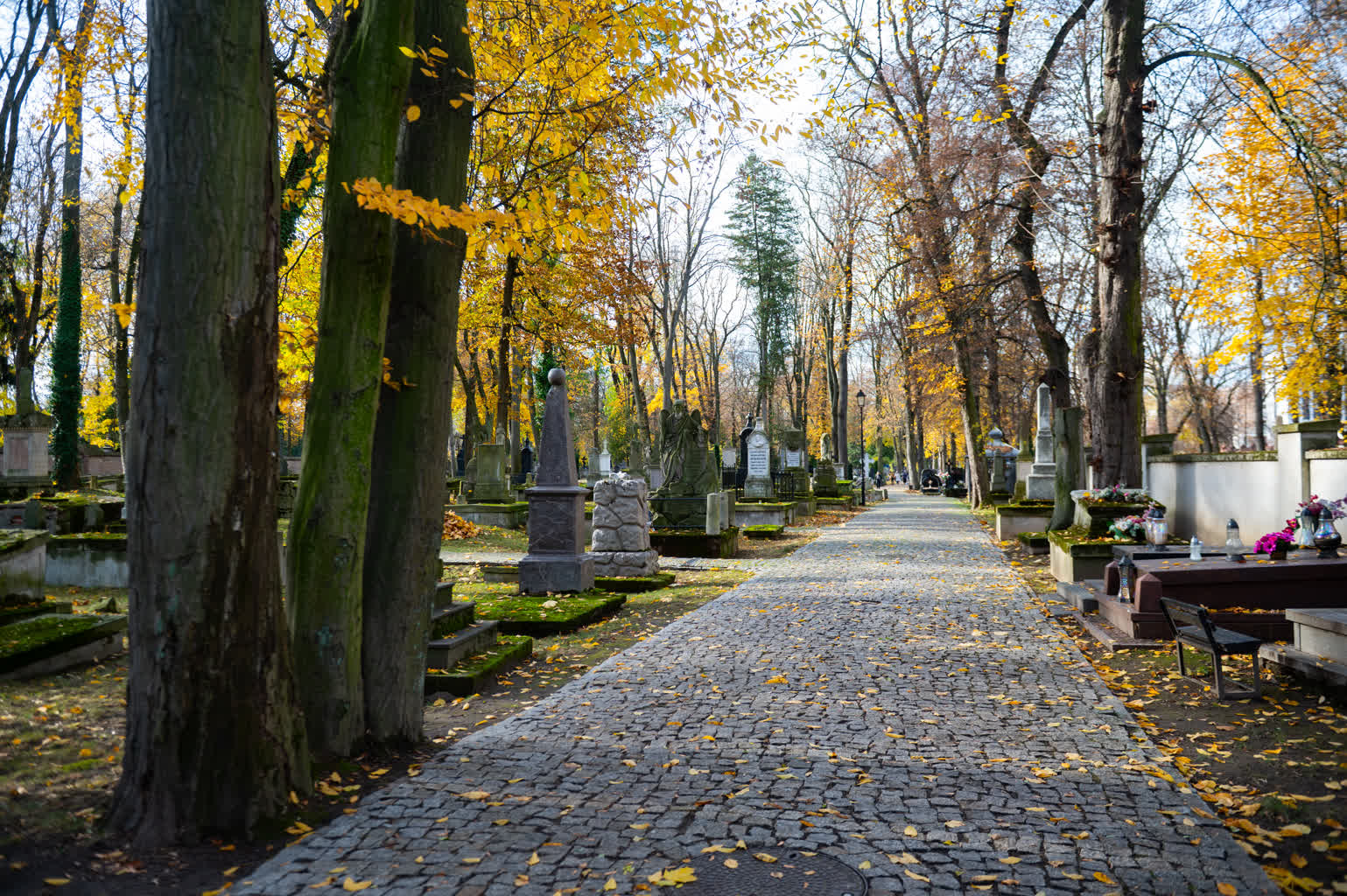 39. kwesta na rzecz renowacji zabytkowych nagrobków na najstarszej nekropolii w Lublinie
