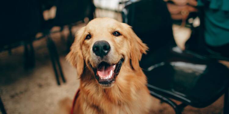 EAttachments90474262d6816ea57c5509df82ea2b08353f0ea xl