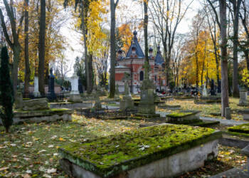 EAttachments9047427064c974c1966921502ea64ba5bd1a9d2 xl