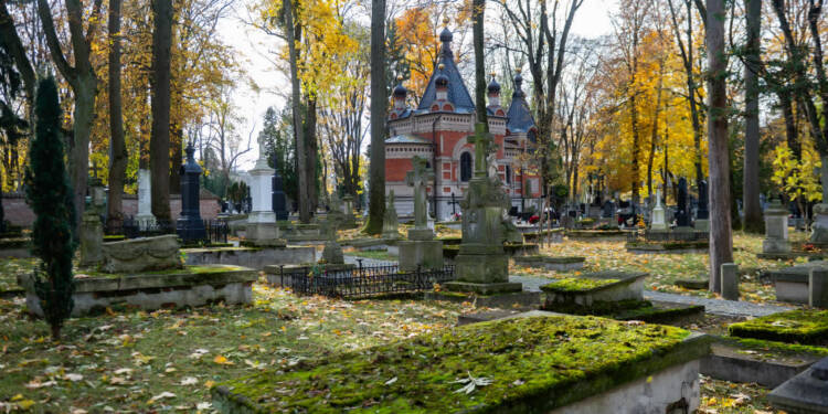 EAttachments9047427064c974c1966921502ea64ba5bd1a9d2 xl