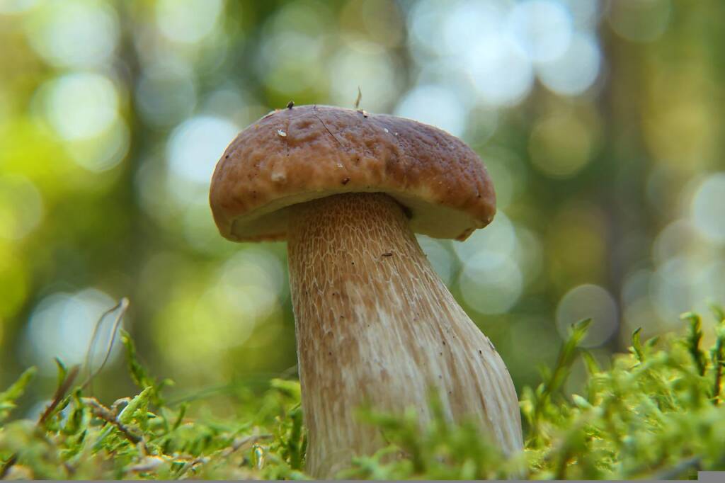 EAttachments6560052e88d36910bbde6b01cf0af54eab491ad