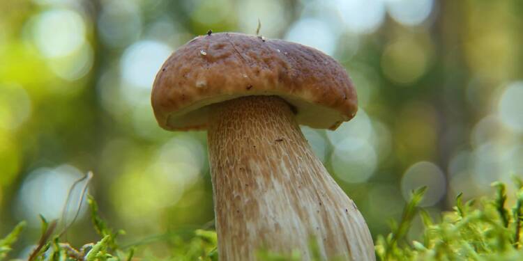 EAttachments6560052e88d36910bbde6b01cf0af54eab491ad