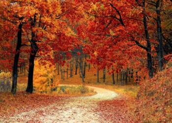 EAttachments66155918411323a9467a8e0dab8a0aa6e57805b