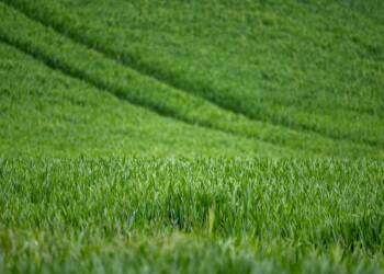 13.11.2025 Agrobiznes - nabór wniosków o wsparcie na rozwój dla małych gospodarstw 4 EAttachments8080451ec1858b8a4a4171d216ed27afc7ef422