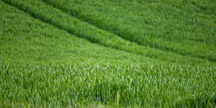 EAttachments8080451ec1858b8a4a4171d216ed27afc7ef422