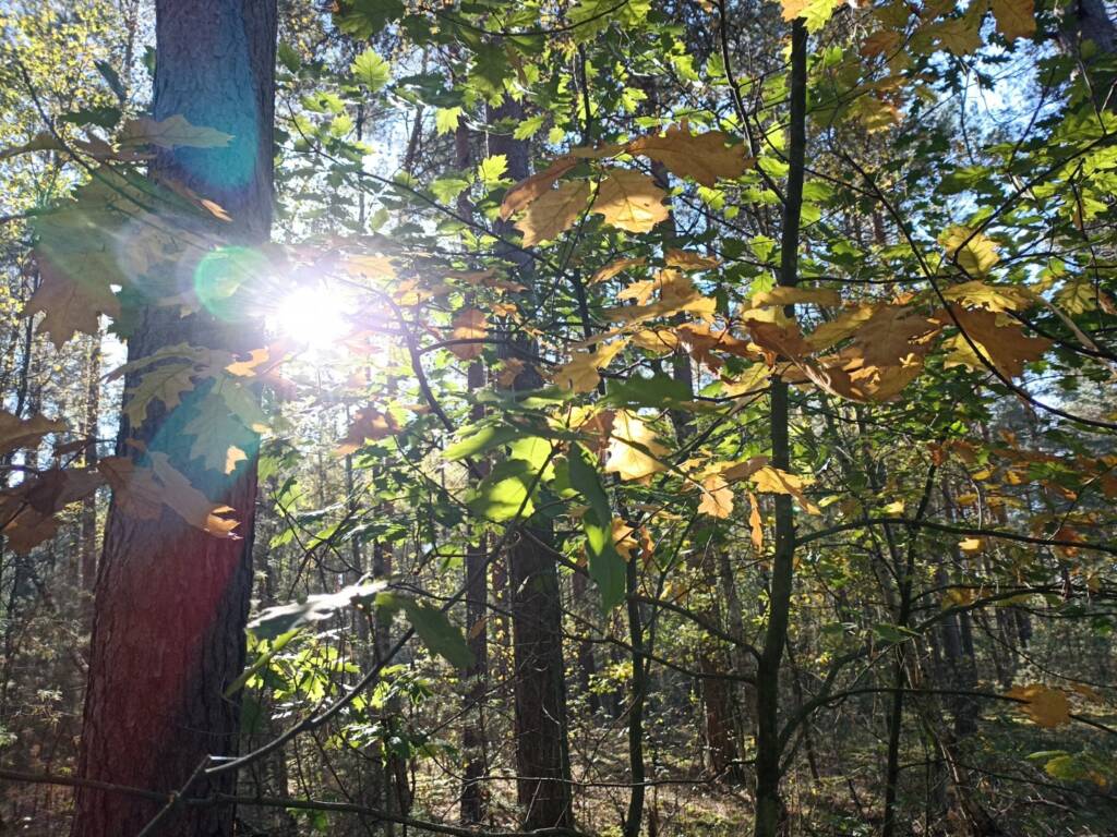 EAttachments82618662fb0382eaf29bd163662bc3d7a79e9b5