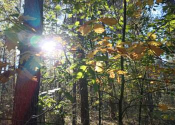 EAttachments82618662fb0382eaf29bd163662bc3d7a79e9b5