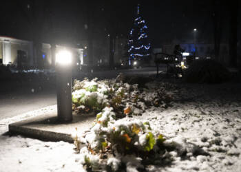 EAttachments842805372e243a650be88023347136e564dd13d