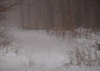 EAttachments847747120fbdbcb56ae98b5dbc644d42176858d 1024x682 1