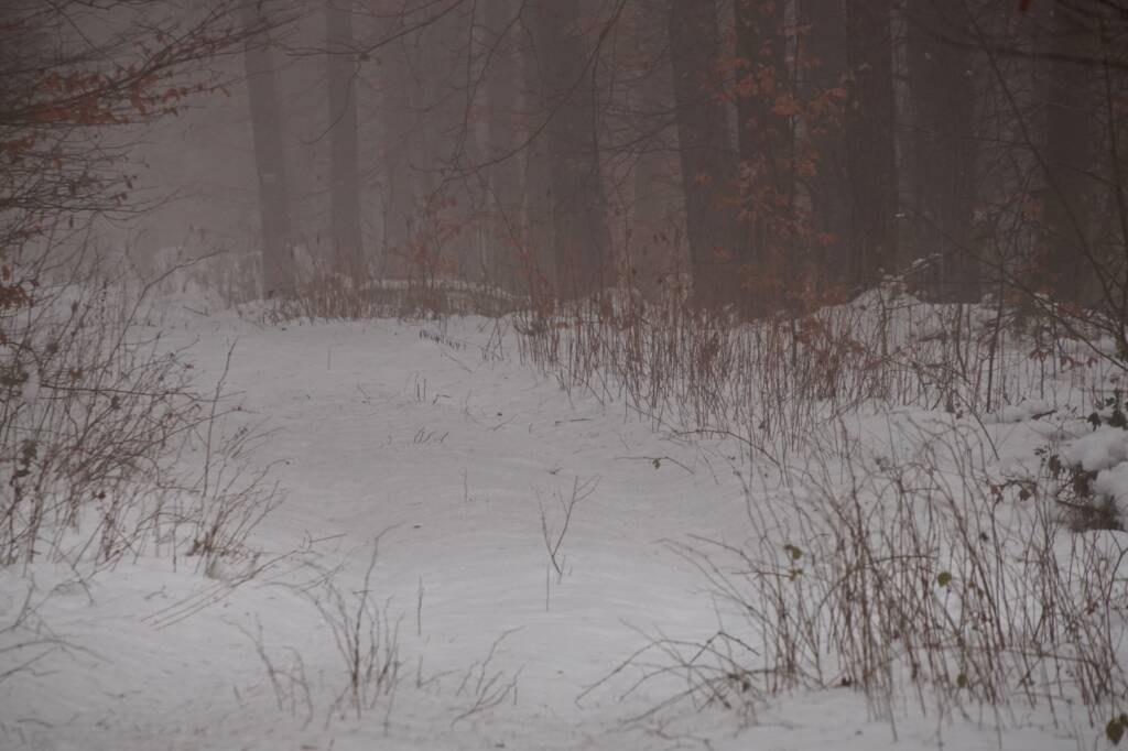 EAttachments847747120fbdbcb56ae98b5dbc644d42176858d