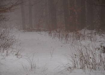 EAttachments847747120fbdbcb56ae98b5dbc644d42176858d