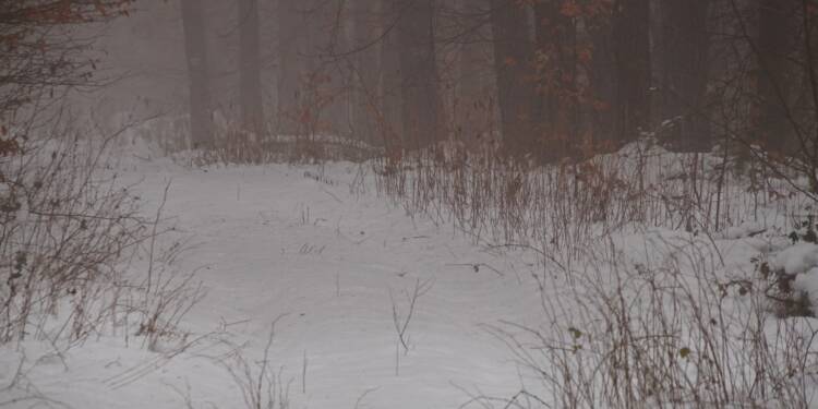 EAttachments847747120fbdbcb56ae98b5dbc644d42176858d