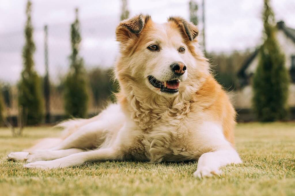 EAttachments86031918e916a38c81d33e601c12f1370370d15 xl